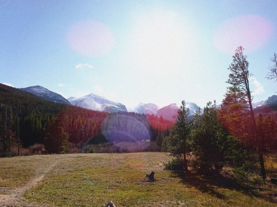 Mountain meadow with lens flare