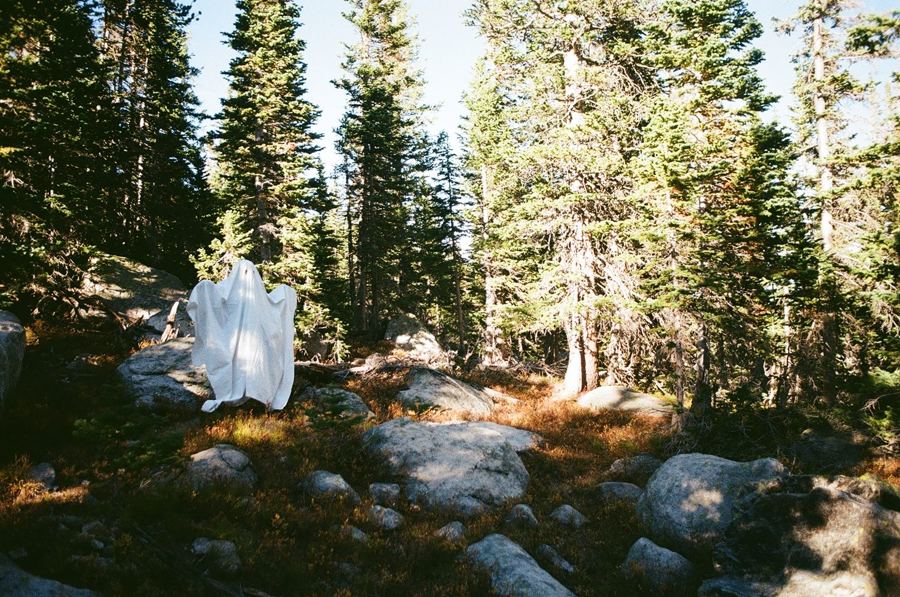 The sheet ghost wandering through a pine forest